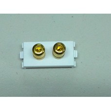 Speaker Module