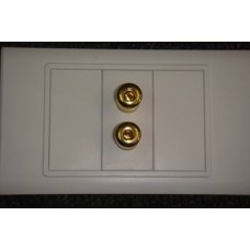 Wall Plate For A Single Speaker